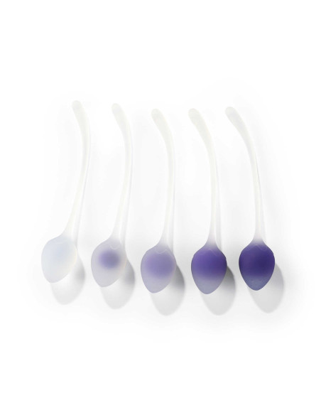 Berry : Set de 5 Boules de geisha Mauves | Honey Play box